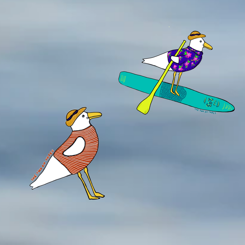 Summer CT Seagull Stickers