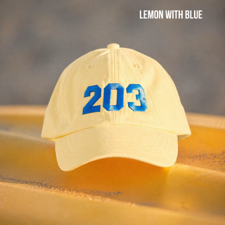 The 203's Classic Embroidered Baseball Cap