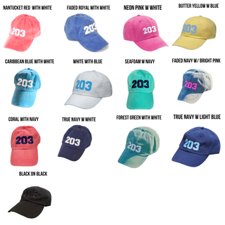 The 203's Classic Embroidered Baseball Cap